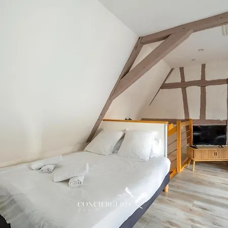 Maison Historique Au Coeur Du Marche De Noel *