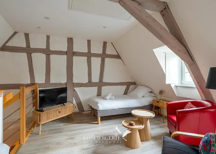 Vakantiehuis Maison Historique Au Coeur Du Marche De Noel