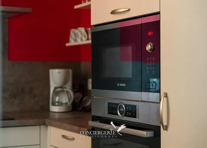 Vakantiehuis Maison Historique Au Coeur Du Marche De Noel *