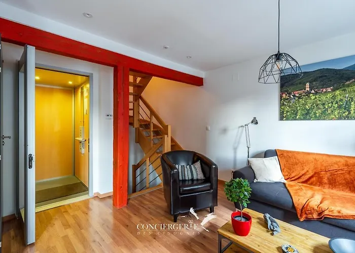 Vakantiehuis Maison Historique Au Coeur Du Marche De Noel Colmar