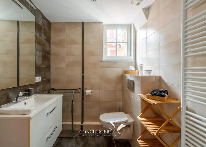 Vakantiehuis Maison Historique Au Coeur Du Marche De Noel