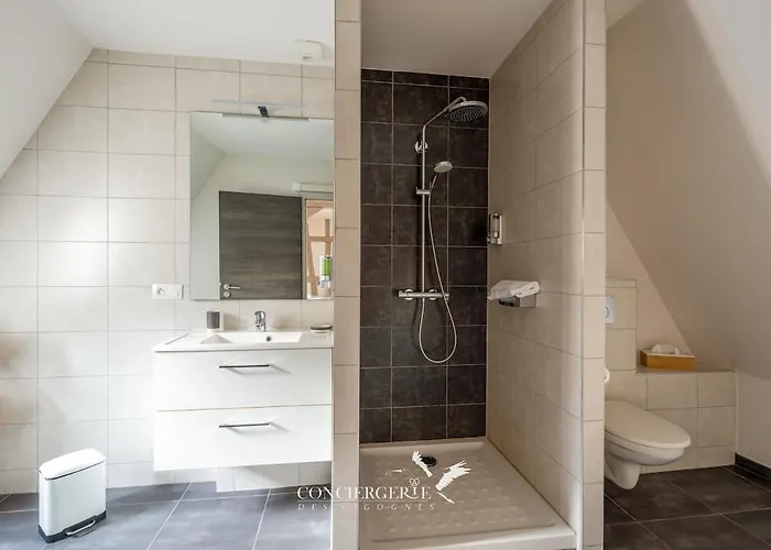 Vakantiehuis Maison Historique Au Coeur Du Marche De Noel