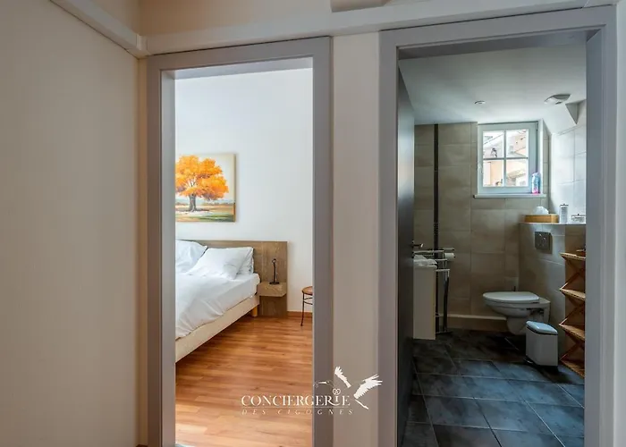 Maison Historique Au Coeur Du Marche De Noel Vakantiehuis Colmar